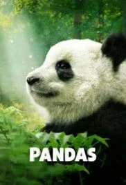 ดูหนังออนไลน์ฟรี Pandas (2018) สารคดีแพนด้า