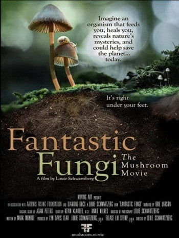 ดูหนังออนไลน์ฟรี Fantastic Fungi (2019) เห็ดมหัศจรรย์