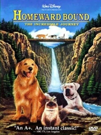 Homeward Bound The Incredible Journey (1993) สองหมาหนึ่งแมว ใครจะพรากเราไม่ได้
