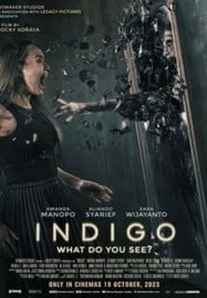ดูหนังออนไลน์ฟรี Indigo (2023) เธอเห็นอะไร เต็มเรื่อง HD