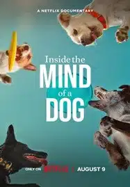 ดูหนังออนไลน์ Inside the Mind of a Dog (2024) อ่านใจสุนัข