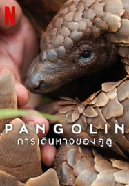 ดูหนังออนไลน์ฟรี HD หนังใหม่ Pangolin Kulu’s Journey (2025) การเดินทางของคูลู เต็มเรื่อง
