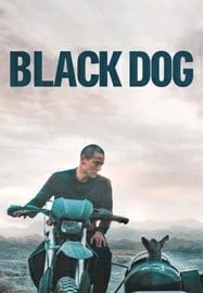 ดูหนังออนไลน์ฟรี HD หนังใหม่ Black Dog (2024) สี่ขาหัวใจไม่ดำ เต็มเรื่อง